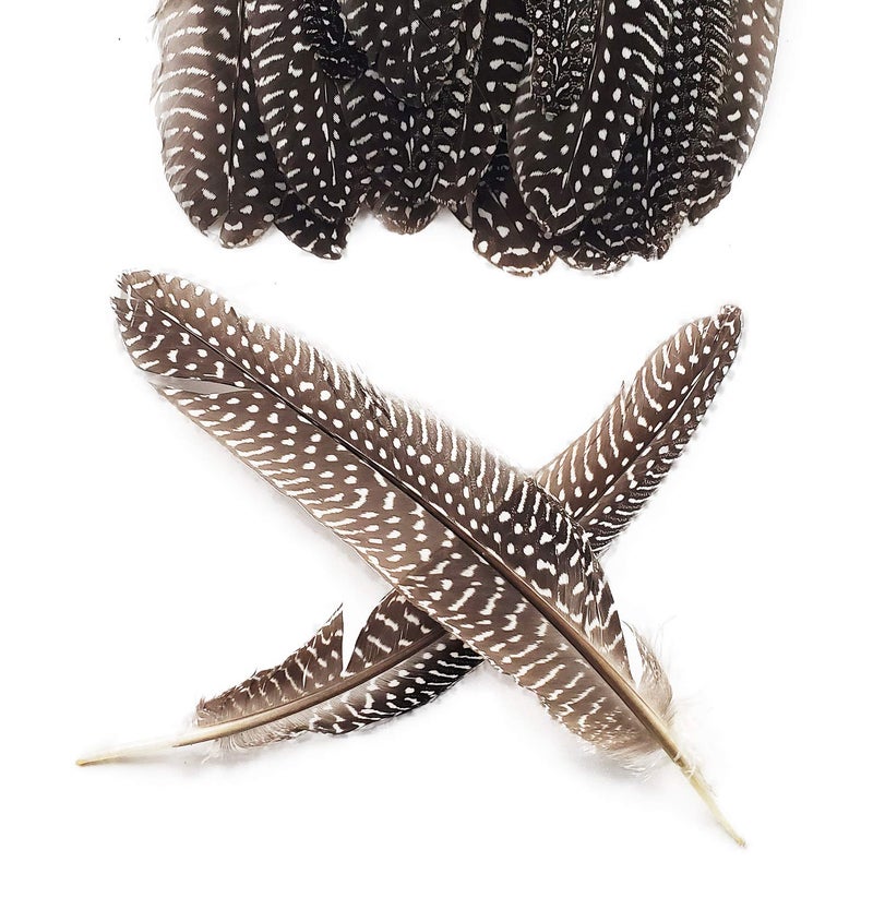 HAPPY FEATHER 6-9 inch Natural Guinea Wing Plumage Feather for DIY Craft, Jewelry and Clothing Decoration Pack of 20-Natural - Image 5